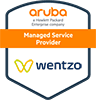 Aruba Managed Services Provider
