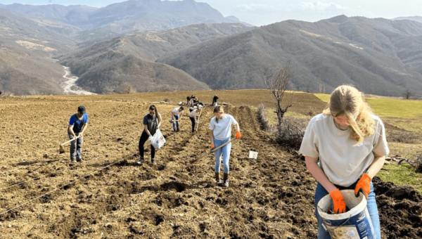 Wentzo Foundation Albanië, jongeren planten olifantsgras